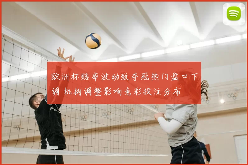欧洲杯赔率波动致夺冠热门盘口下调 机构调整影响竞彩投注分布